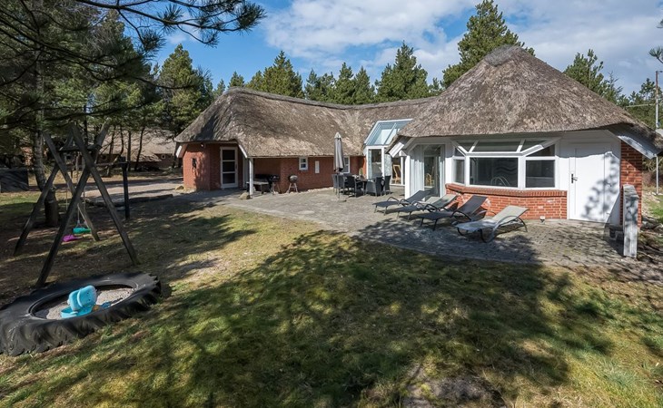 "Grep" - 700m from the sea in Western Jutland 1