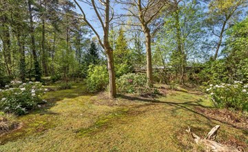 "Eweline" - 75 meter van de zee in Lolland, Falster en Mon 3