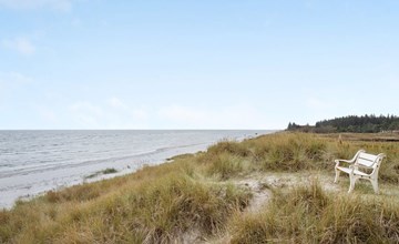 "Amaryllis" - 100m from the sea in NE Jutland 2