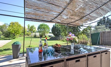 De amandelboom 2