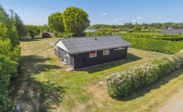 "Ugly" - 300m from the sea in NE Jutland 3