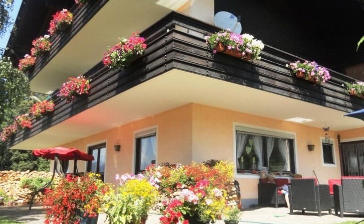 Cosmea in Millstatt 1