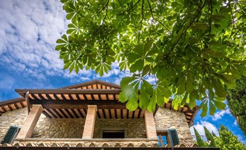 Weingut Le Caselle 2