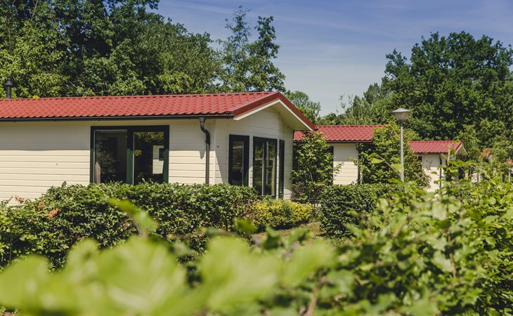 Bungalette sauna I 6 personen 1
