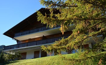 Hornflue (Wohlwender) 2