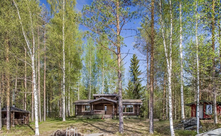 Papanmökki 1