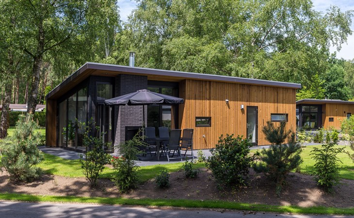 Bos Lodge 55 Eco 4 personen 1