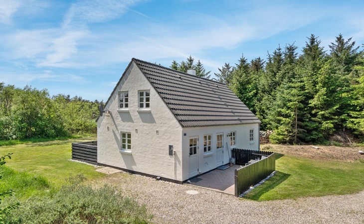 "Minja" - 900m from the sea in NW Jutland 1