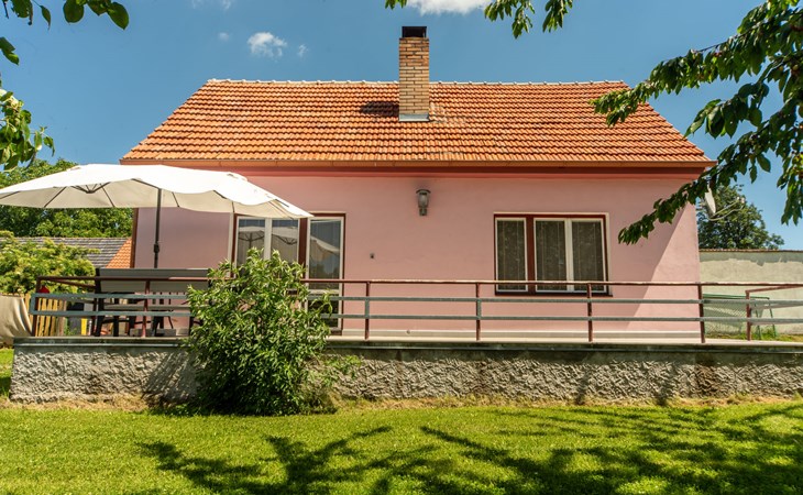 Smrž 1