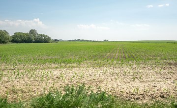 "Ilja" - 400m from the sea in SE Jutland 3