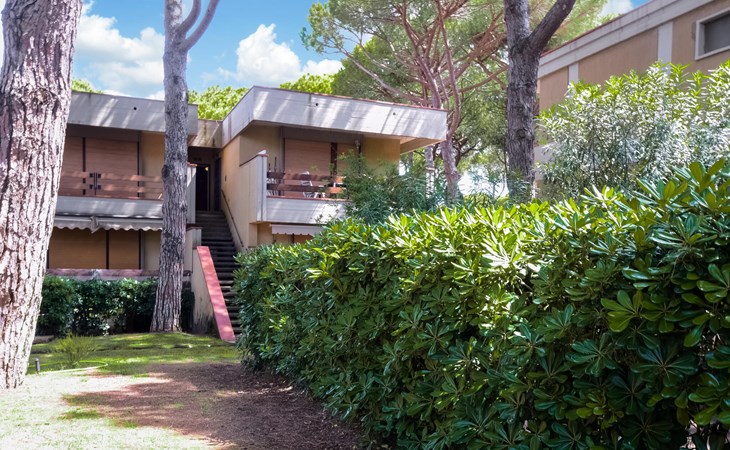 Pet friendly apartment 1