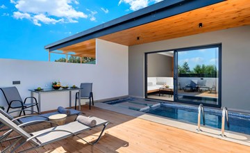 Canes Suites Privater Pool 3