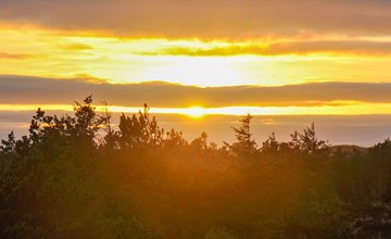 "Elsa" - 700m from the sea in Western Jutland 3