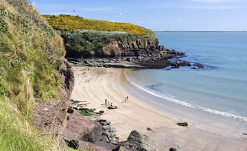 Forest Haven HH No 6 2