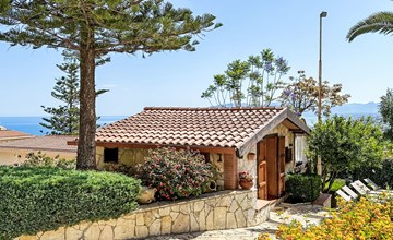 Patrizia's granaatappel 2