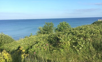 "Rikus" - 300m from the sea in SE Jutland 3