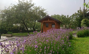 Wohnung Lapanja 2 mit Gemeinschaftsgarten 2