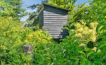 "Alfa" - 350m from the sea 3