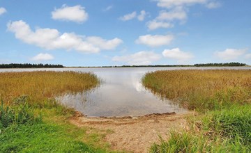 "Sophia" - 8km from the sea in NW Jutland 3