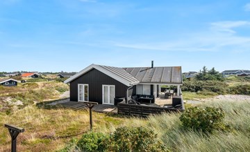 "Sibyll" - uit de zee in West-Jutland 2