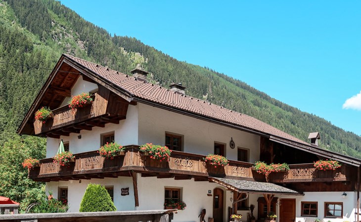 Haflingerhof Edelweiß (KNT101) 1