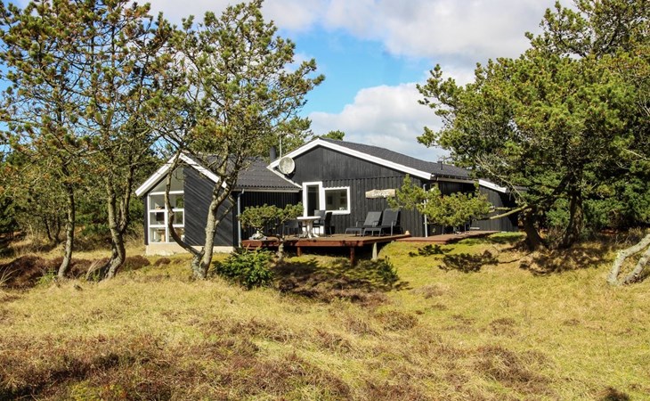 „Glady“ – 500 m vom Meer entfernt in Westjütland 1