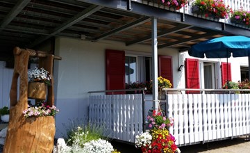 Apartment - Bellevue 3