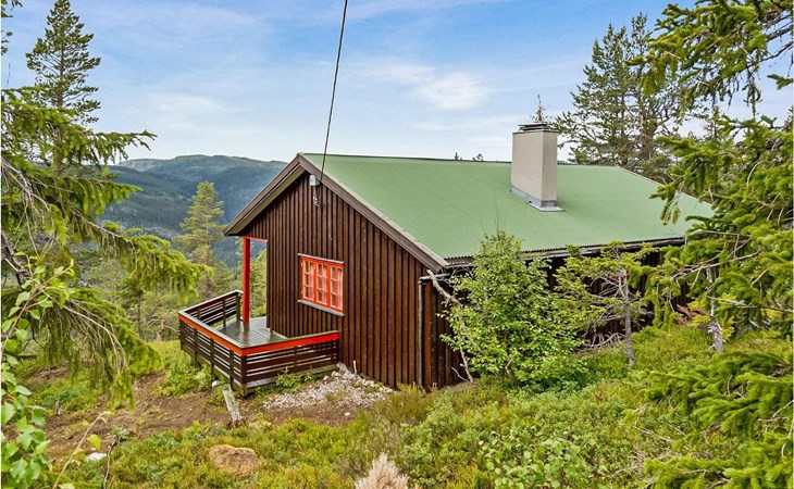 3 bedroom amazing home in Eggedal 1
