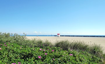 Spitzdachferienhaus mit Schwedenofen und Garten 2