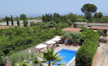 Le Palme in linera 2