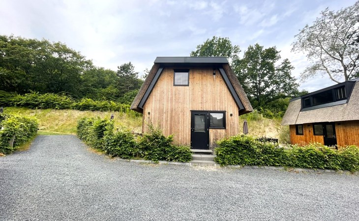 6-Persons Dunelodge Forest with Charging Station 1