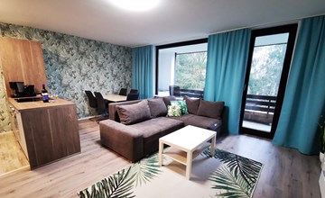 Appartement - Golfhof 7 | Winterberg 3
