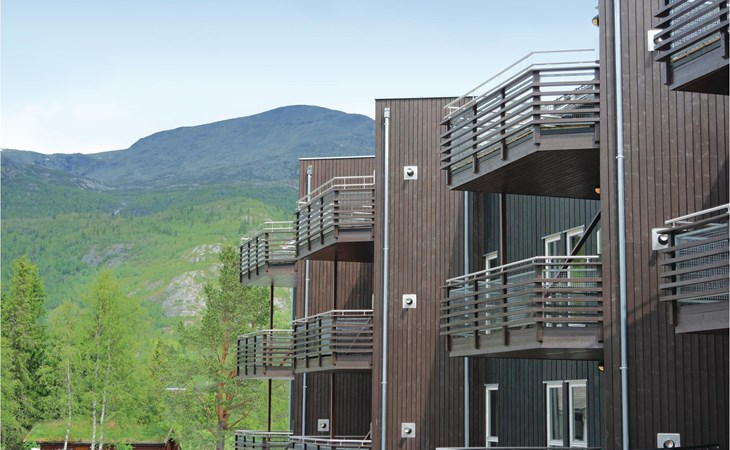 Pet friendly apartment in Hemsedal 1