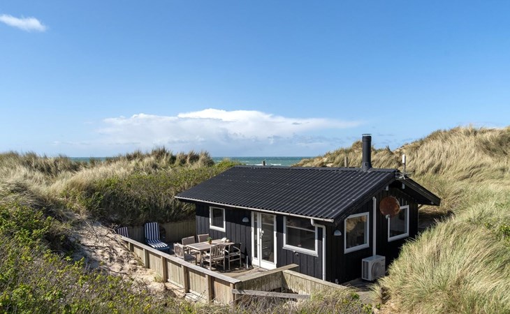 "Abbie" - 10m from the sea in NW Jutland 1