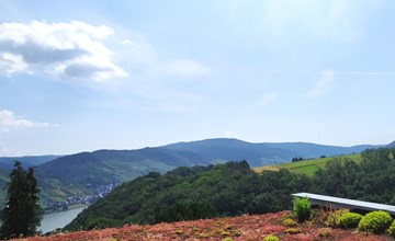 Appartement in Medenscheid mit Garten und Terrasse 2