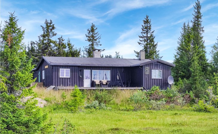 Nice home in Sjusjoen 1