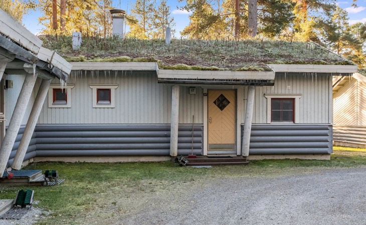 Kulta-käkönen 17 by bomba 1