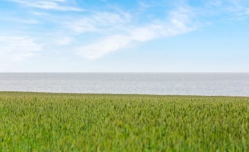 „Paale“ – 200 m bis zur Bucht im Lim Fjord 3