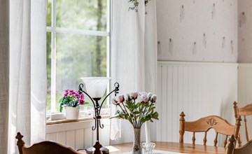 Birch tree (HAL024) 2