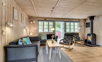 3 bedroom gorgeous home in Ansager 3