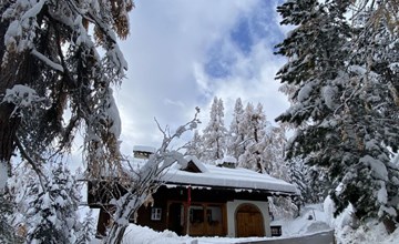 Chesa Bindschedler 3