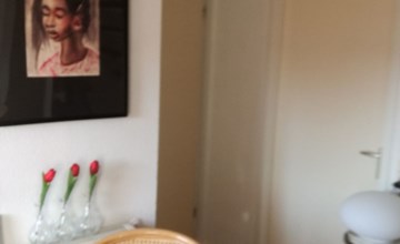 Einmalige, ruhige Ferienvilla im Grünen 3