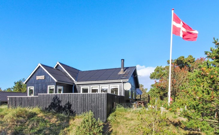 "Annakarin" - 500m from the sea in Western Jutland 1