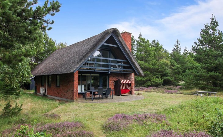 "Anna" - 1km from the sea in Western Jutland 1