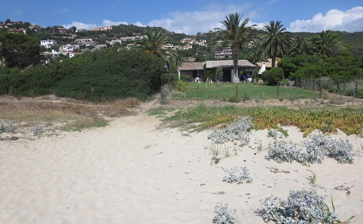 Palma direkt am Meer 1