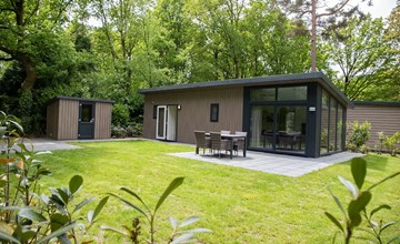 Boterbloem Chalet | 4 personen 2