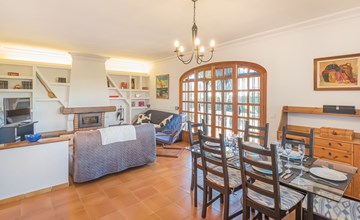 Dolfijnen Bahia Azul 3