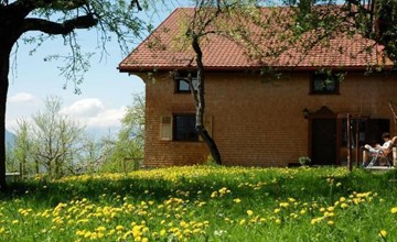 Dünser in Dünserberg 3