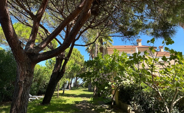 Les Chênes (MAA200) 1