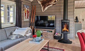 Stunning home in Hovden i setesdal 3